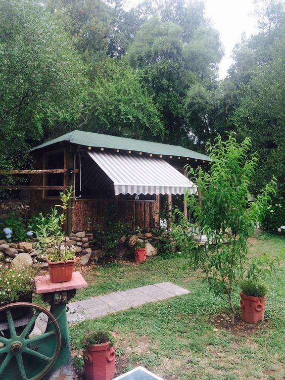 Cabanas Rahue Vilches Extérieur photo